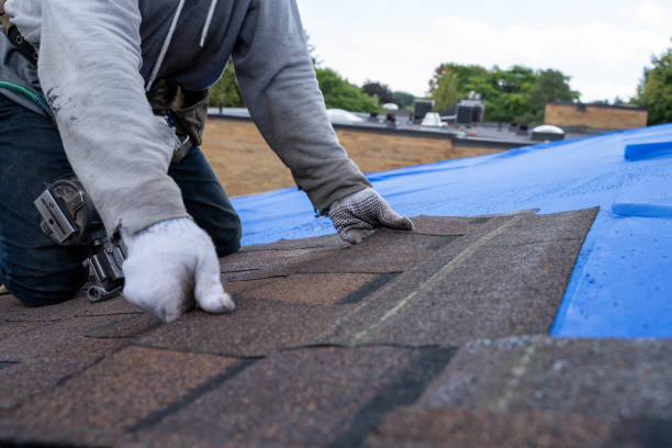 Best Metal Roofing Contractor  in Landis, NC