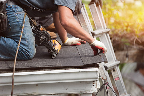 Best Flat Roof Repair Services  in Landis, NC