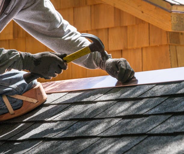 Best Roof Gutter Cleaning  in Landis, NC